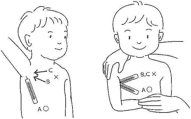 �C���X�g